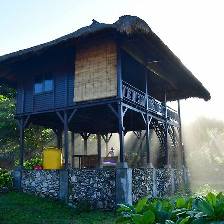Island Cove Resort レンボンガン島 エクステリア 写真